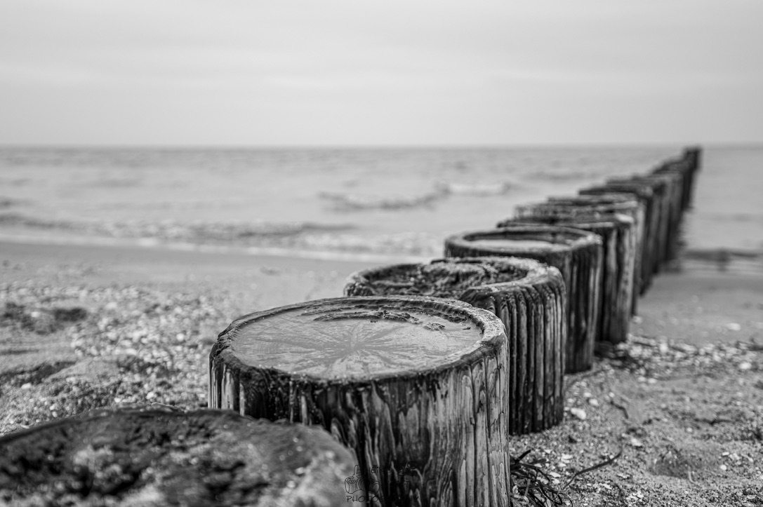 img_3